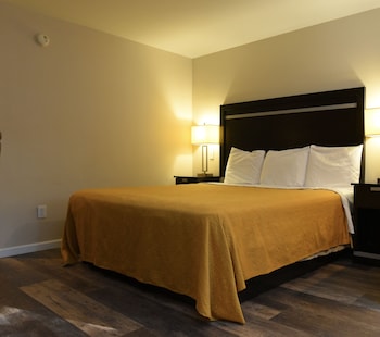 Single Room, 1 King Bed, Accessible