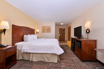 Room, 1 King Bed