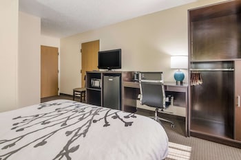 Room, 1 Queen Bed, Accessible, Non Smoking