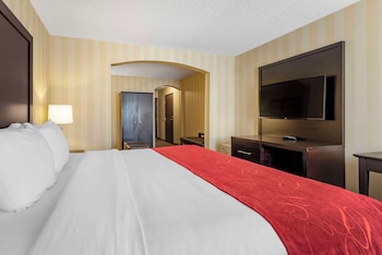 Suite, 1 King Bed with Sofa bed, Accessible, Non Smoking (Roll-In Shower)
