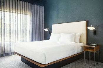 Room, 1 King Bed