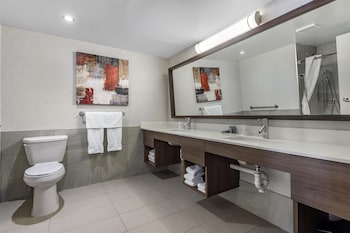 Suite, 1 King Bed, Accessible, Non Smoking (with Sofabed)