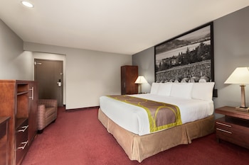 Standard Room, 1 King Bed, Non Smoking (No Pets)