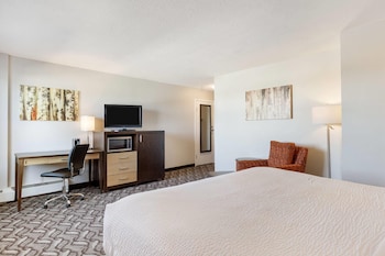 Room, 1 King Bed, Non Smoking