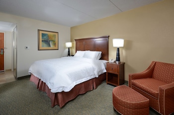 Room, 1 King Bed, Non Smoking
