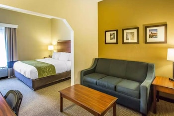 Suite, 1 King Bed with Sofa bed, Non Smoking