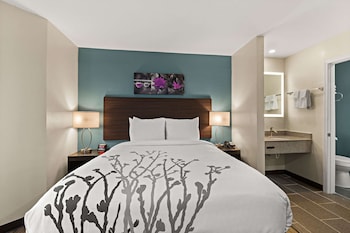 Room, 1 Queen Bed, Accessible, Non Smoking