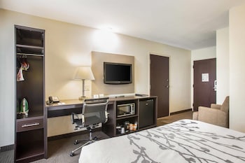 Room, 1 Queen Bed, Accessible, Non Smoking