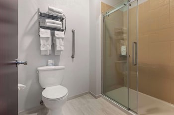 Standard Room, 1 King Bed, Non Smoking, Refrigerator & Microwave (Larger Room;with Sofabed)