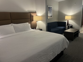 Suite, 1 King Bed