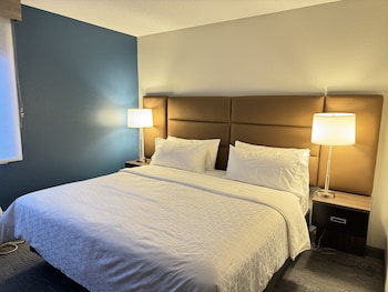 Suite, 1 Bedroom