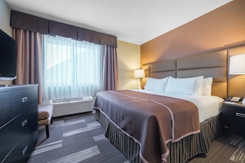 Suite, 1 Bedroom