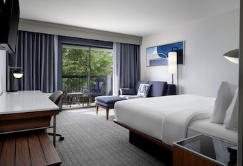 Room, 1 King Bed with Sofa bed (Mobility Accessible, Transfer Shower)