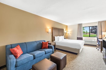 Standard Room, 1 King Bed, Non Smoking