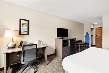 Room, 1 King Bed, Accessible, Non Smoking