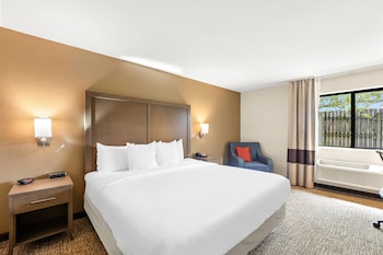 Suite, 1 King Bed with Sofa bed, Non Smoking