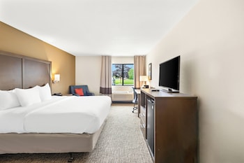Room, 1 King Bed, Accessible, Non Smoking