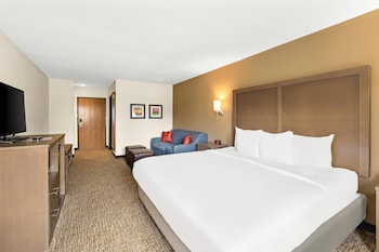 Standard Room, 1 King Bed, Non Smoking