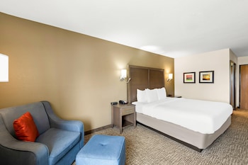 Standard Room, 1 King Bed, Non Smoking
