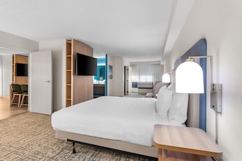 Suite, 1 King Bed with Sofa bed, Accessible (Washer & Dryer)