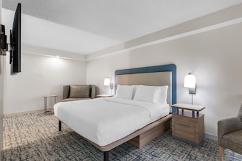 Suite, 1 King Bed with Sofa bed