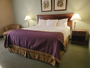 Deluxe Room, 1 King Bed