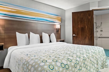 Studio, 1 King Bed, Accessible, Non Smoking (Roll-In Shower)