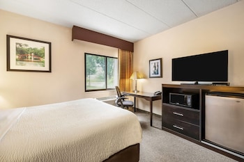 Standard Room, 1 Queen Bed, Accessible