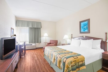 Standard Room, 1 King Bed