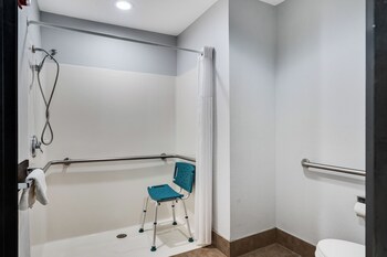 Room, 1 King Bed, Accessible, Non Smoking (Mobility,Roll-In Shower)