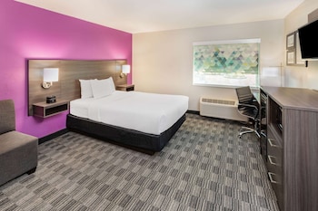 Room, 1 King Bed, Non Smoking