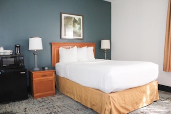 Room, 1 Double Bed, Accessible, Non Smoking (Mobility,Hearing,Roll-In Shower)