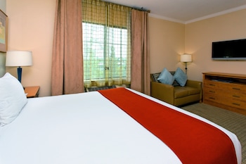 Suite, 1 King Bed, Accessible Bathtub (Mobility)