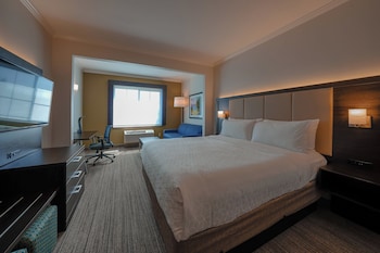 Suite, 1 King Bed