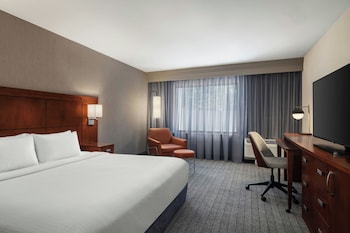 Room, 1 King Bed, Roll-in Shower