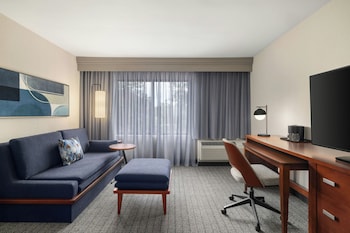 Room, 1 King Bed with Sofa bed