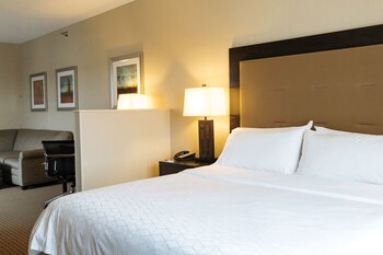 Standard Room, 1 King Bed with Sofa bed