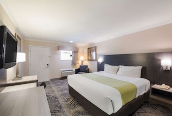 Standard Room, 1 King Bed, Accessible, Non Smoking