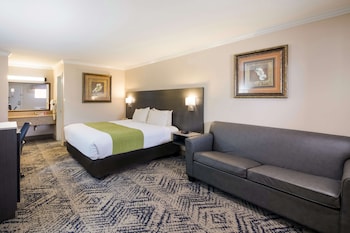 Standard Room, 1 King Bed, Non Smoking, Refrigerator & Microwave (with Sofabed)