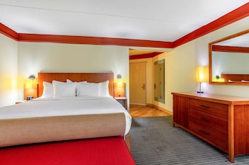 Deluxe Room, 1 King Bed, Non Smoking