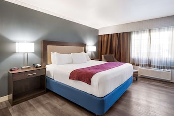 Standard Room, 1 King Bed, Accessible, Non Smoking