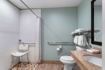 Suite, 1 King Bed, Accessible, Kitchenette (with Sofabed)
