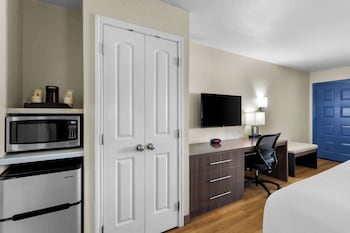 Standard Room, 1 King Bed, Non Smoking, Refrigerator & Microwave (with Sofabed)