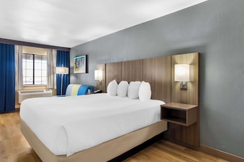 Standard Room, 1 King Bed, Non Smoking, Refrigerator & Microwave (with Sofabed)