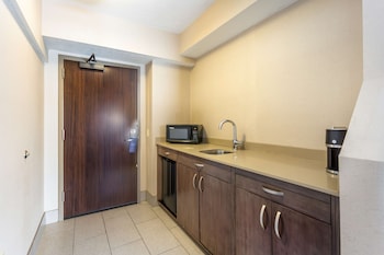 Suite, 1 King Bed, Non Smoking, Refrigerator (with Sofabed)