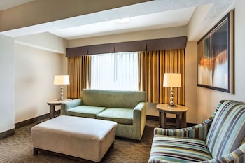 Suite, 1 King Bed, Non Smoking, Refrigerator (with Sofabed)
