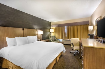 Standard Room, 1 King Bed, Accessible, Non Smoking
