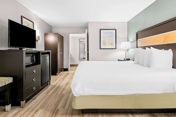Standard Room, 1 King Bed, Non Smoking, Refrigerator & Microwave