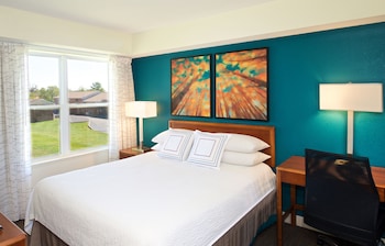 Studio, 1 Queen Bed with Sofa bed