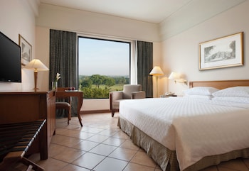 Room, 1 King Bed, Golf View